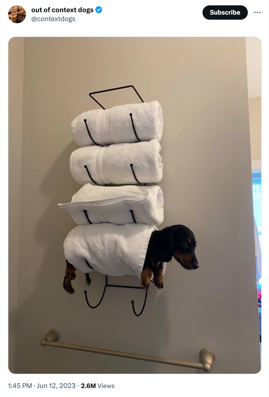 hot dog towels
