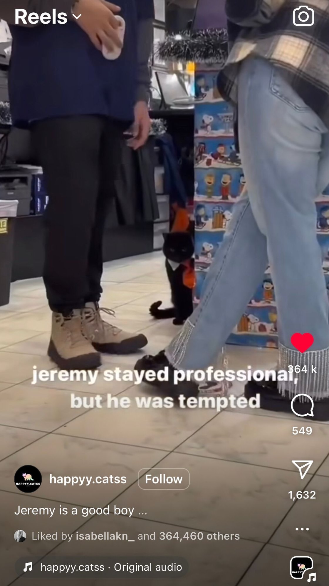 Jeremy cat