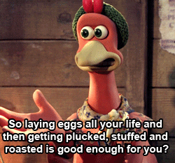 chicken run
